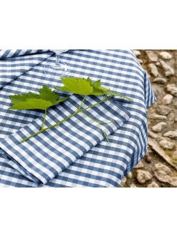 Mantel de cuadritos de Vichy en color azul y blanco.